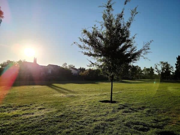 Mendocino Park - Image 1