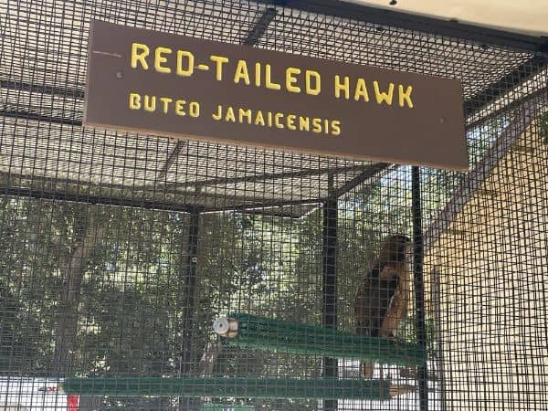 San Dimas Canyon Nature Center - Image 4