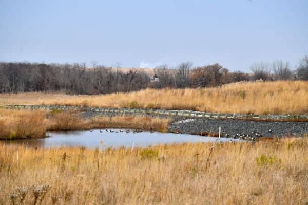 Brookfield Park - Image 5