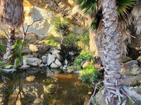 Dana Point Seasonal Waterfall - Image 3