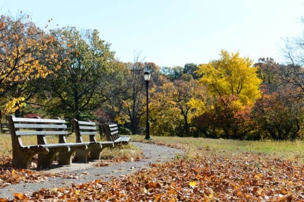 Silver Lake Park - Image 2