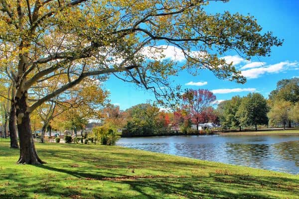 Arthur J. Hendrickson Park - Image 5