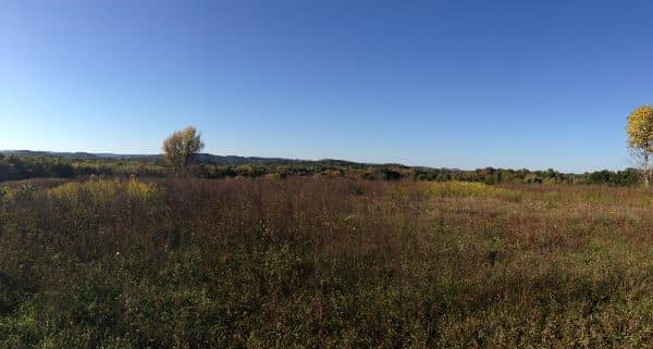 Dagmar Dale Nature Trail North Loop - Image 3