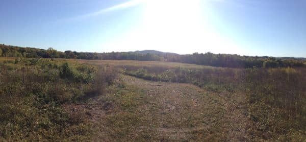 Dagmar Dale Nature Trail North Loop - Image 1