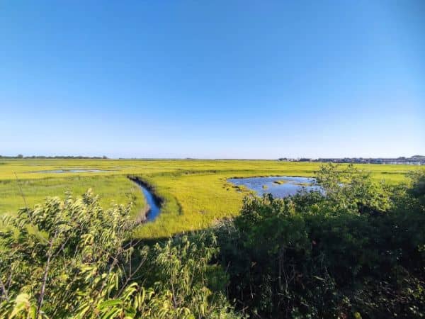 Cow Meadow Park - Image 5