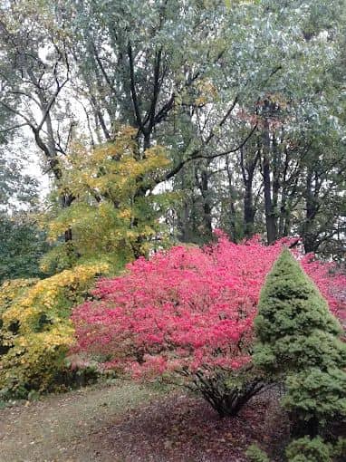 Gouveia Park - Image 1
