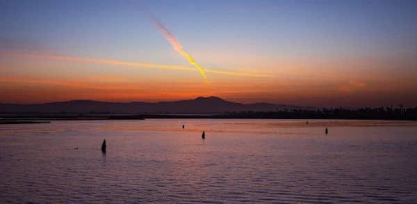 Seal Beach National Wildlife Refuge - Image 5
