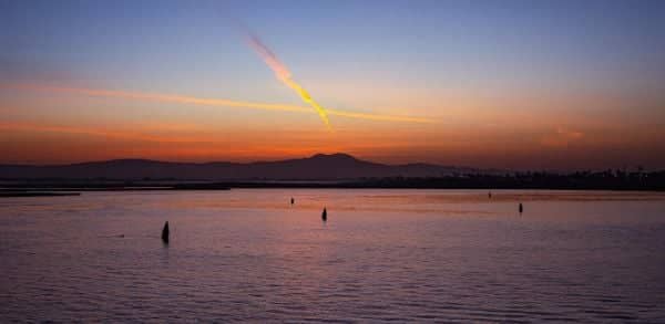 Seal Beach National Wildlife Refuge - Image 5