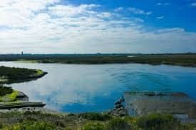 Seal Beach National Wildlife Refuge - Image 3