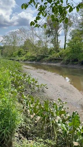 Lime Kiln Alley Park - Image 3