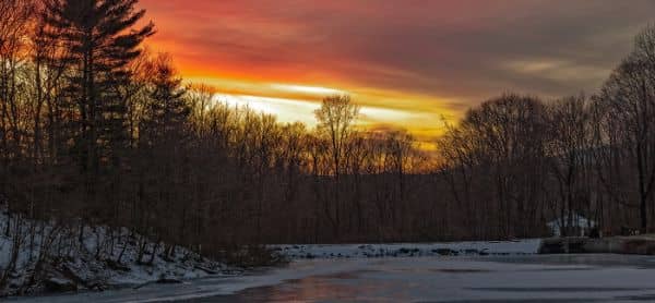 Kathryn Gorman Ponds Park - Image 4