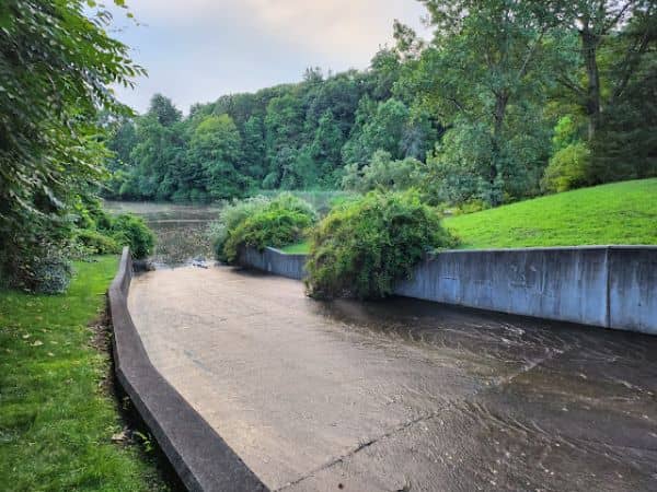 Kathryn Gorman Ponds Park - Image 3
