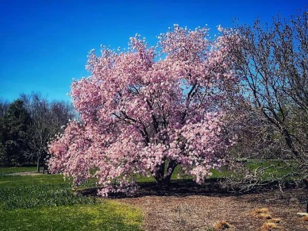 Delaware & Raritan Canal State Park Trail - Amwell Road - Image 5