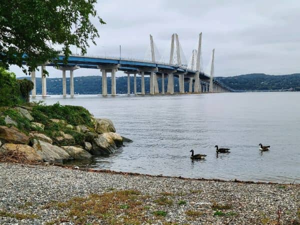 Losee Park - Image 2