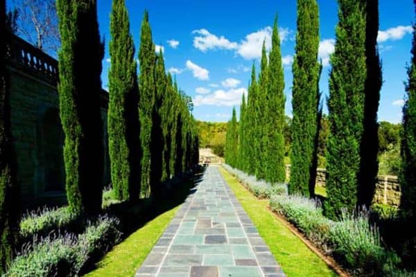 Greystone Mansion & Gardens: The Doheny Estate - Image 5