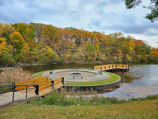 Willow Tree Town Park - Image 2