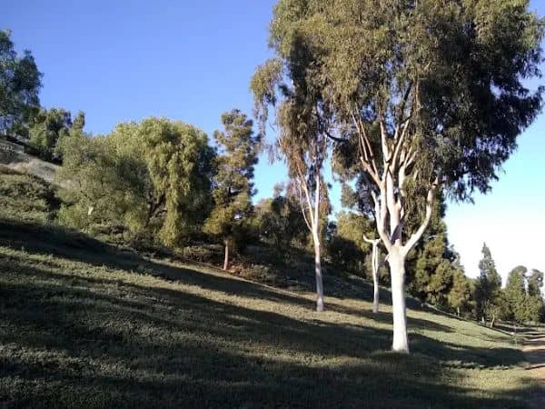 La Hermosa Park - Image 1