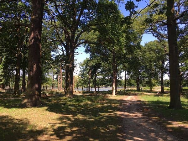 Richmond Point Park 2 - Image 2