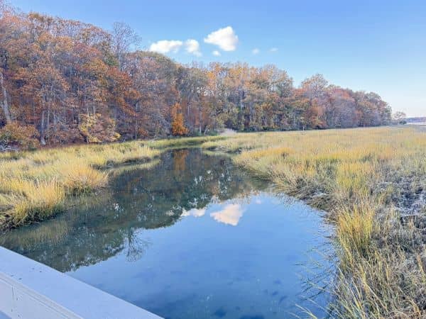 Eel Creek - Image 3