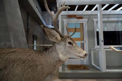 Stone Barn Nature Center - Image 2