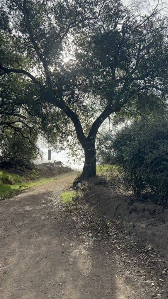 Steep Canyon Trail - Image 3