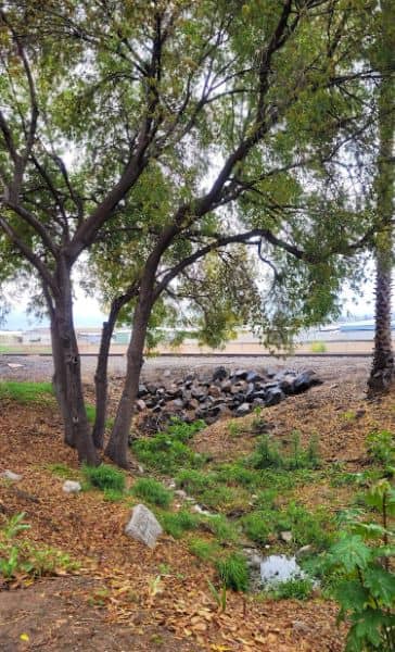 Guadalupe Park - Image 2