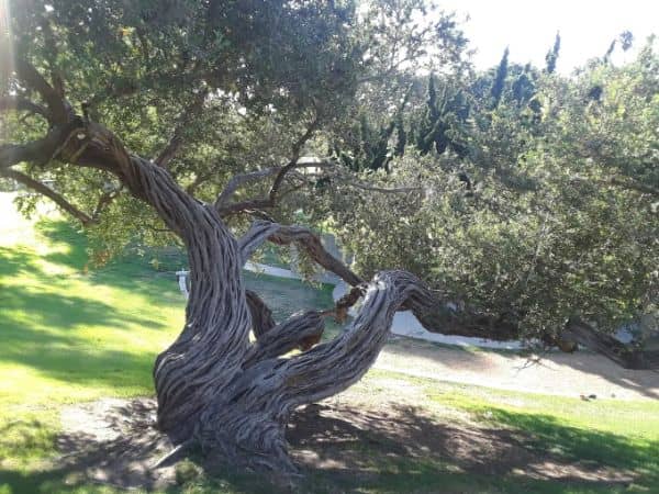 Valley Park - Image 3