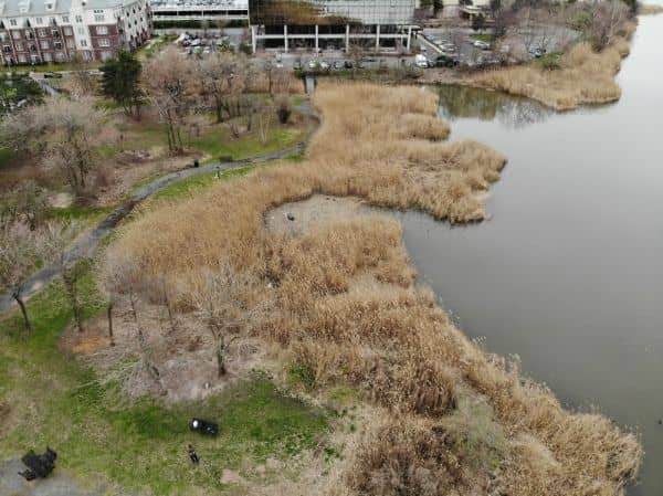 Snipes Park - Image 2