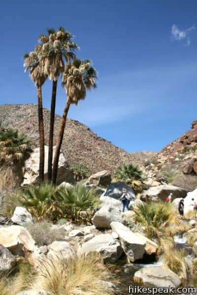 Borrego Canyon Overlook Park - Image 4