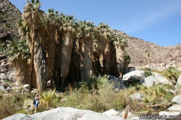 Borrego Canyon Overlook Park - Image 5