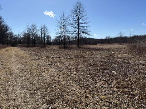 Timberdoodle Trail Parking - Image 1