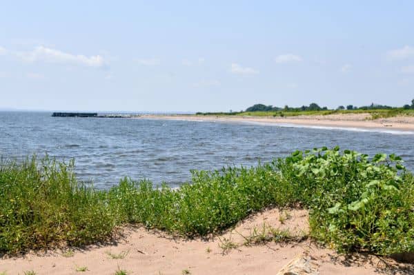 Great Kills Park - Image 2