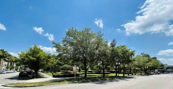 Avalon Park - Image 3