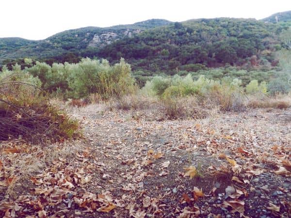 Agoura hills - Image 2