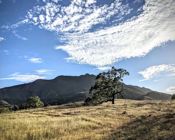 Agoura hills - Image 3