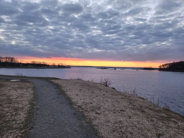 Shore Park - Image 2