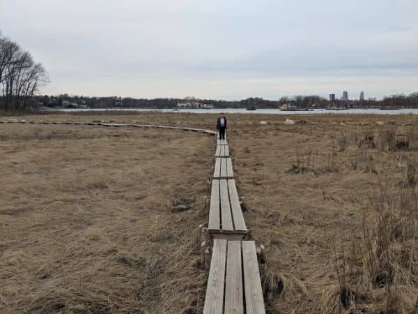 Shore Park - Image 3