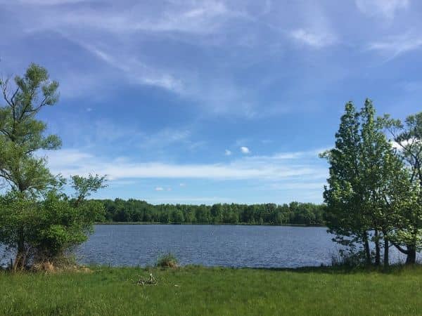Mercer Park - Image 2