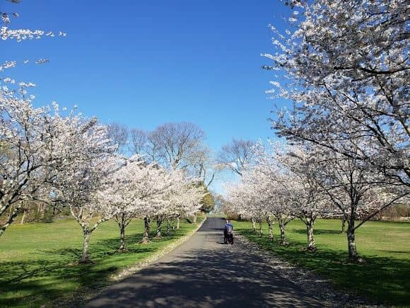 Crawford Park - Image 5