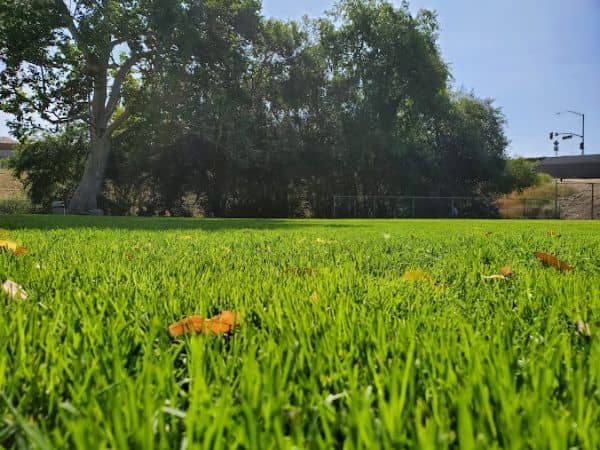 Grape Arbor Park - Image 4