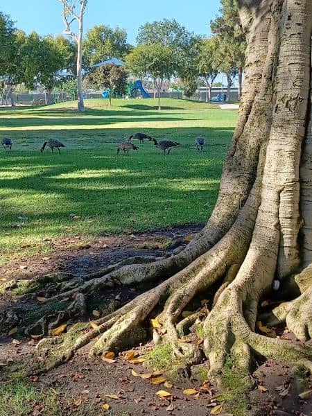 Bolivar Park - Image 3