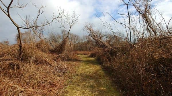 Tiffany Creek Preserve - Image 2