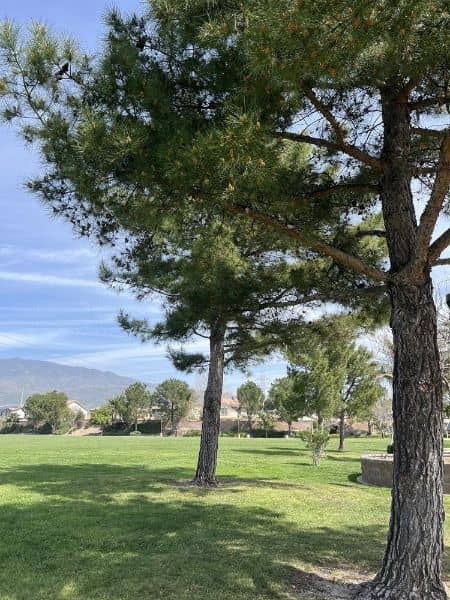Rosena Park East - Image 2