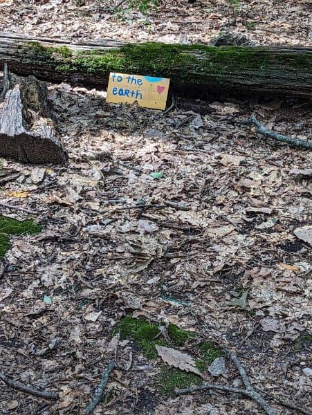 Harrison Williams Woods - Image 5