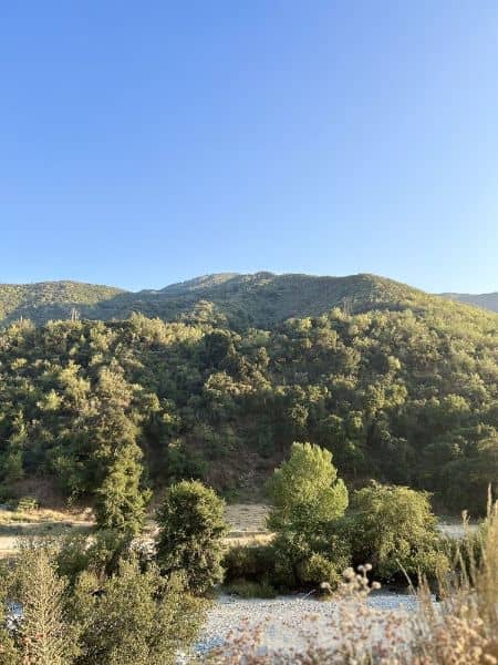Azusa Wilderness Park - Image 4