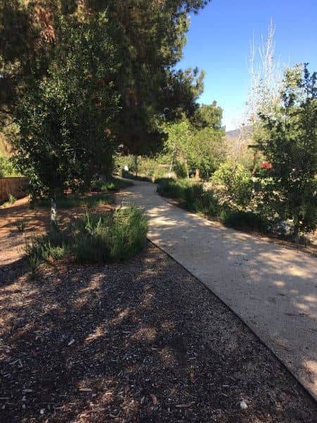 Encanto Park - Image 3