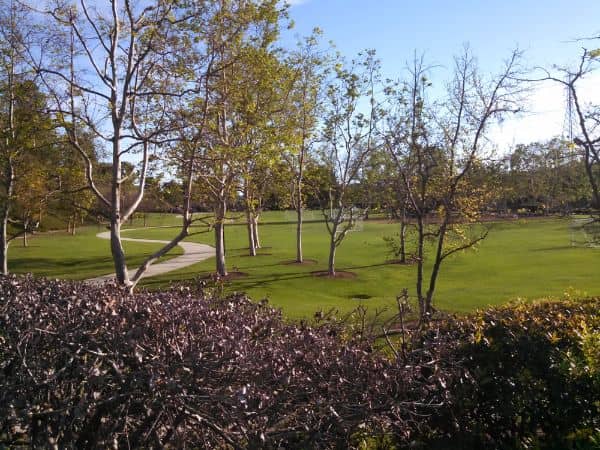 Sheep Hills Park - Image 1