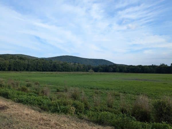 Wallkill River National Wildlife Refuge - Image 3