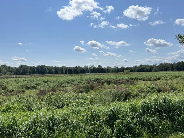 Wallkill River National Wildlife Refuge - Image 2