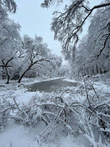 Twinney Pond Park - Image 2